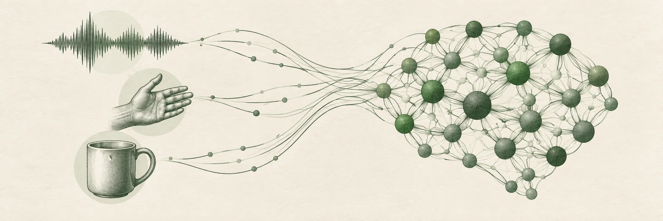 Sensory patterns connected to a network of artificial neurons.